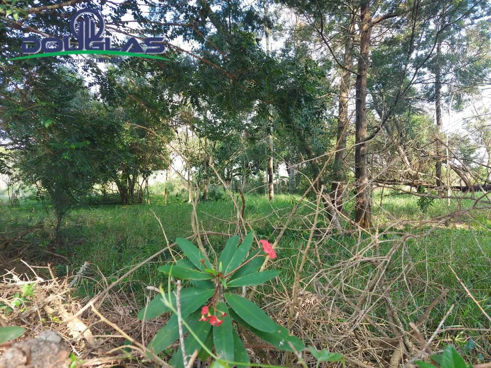 Terreno, 700 m² - Foto 6