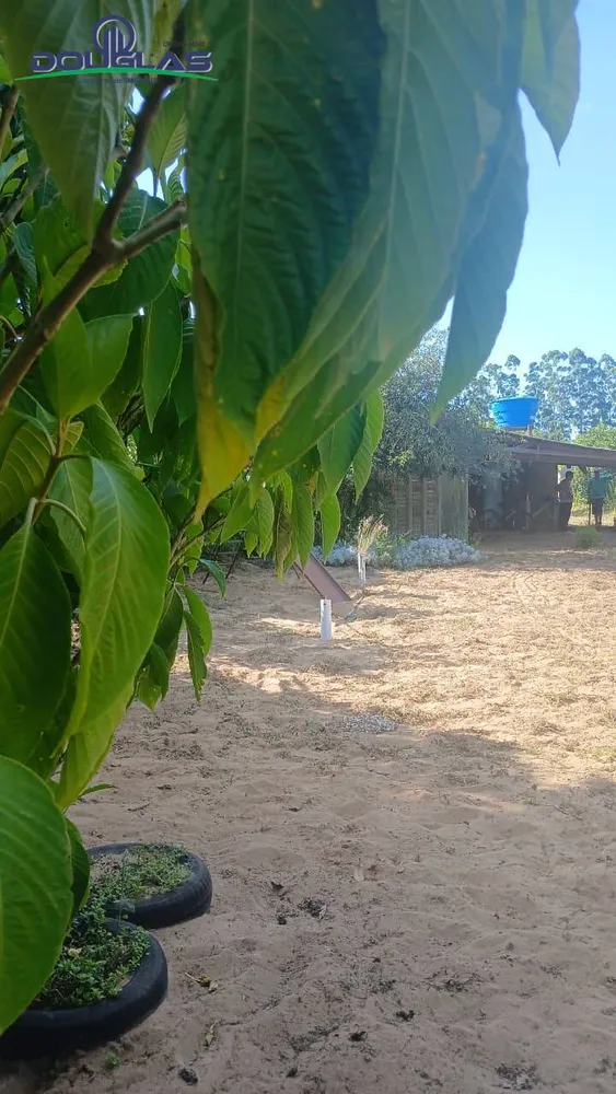 Terreno - Foto 1