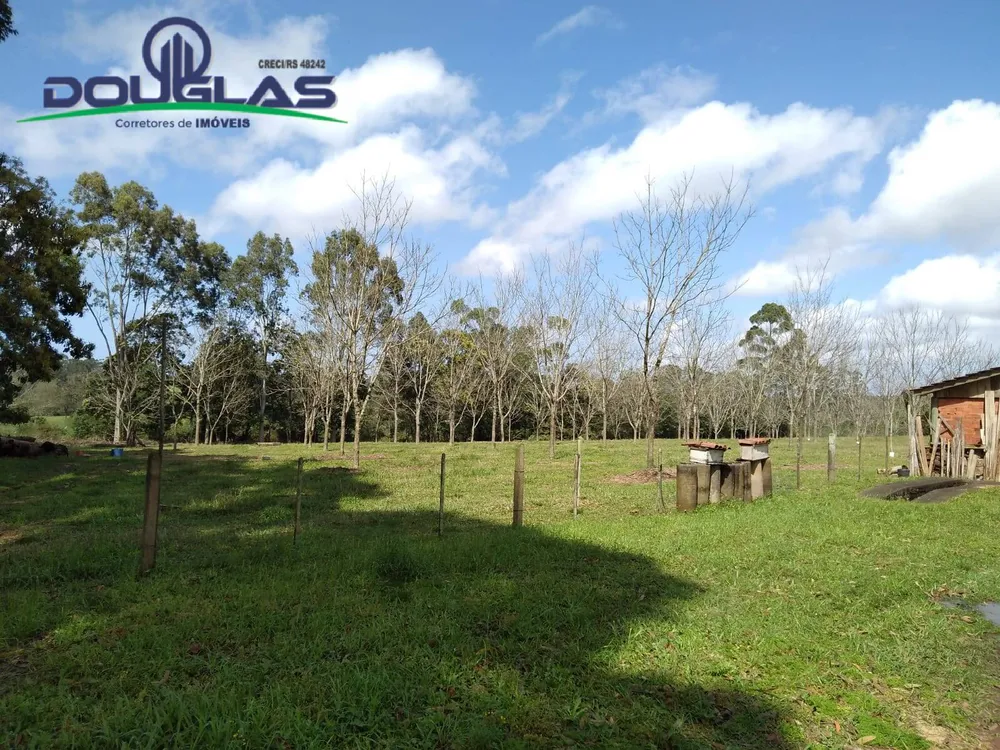 Terreno - Foto 2