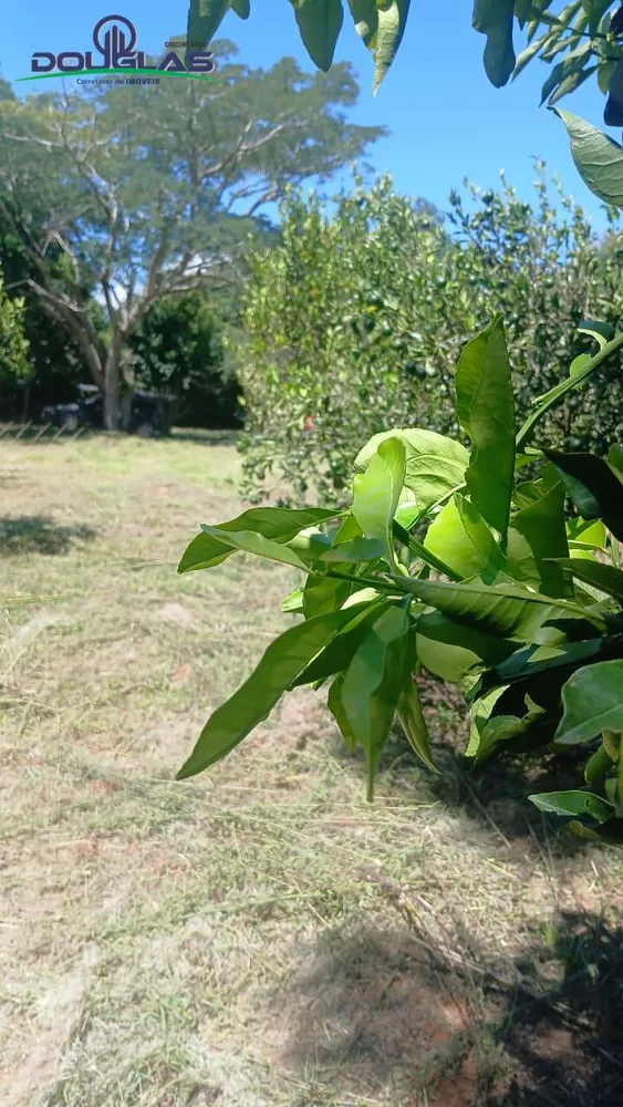 Terreno - Foto 4