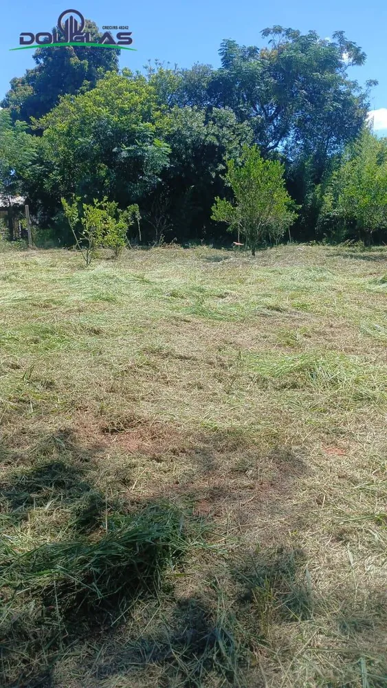 Terreno - Foto 2