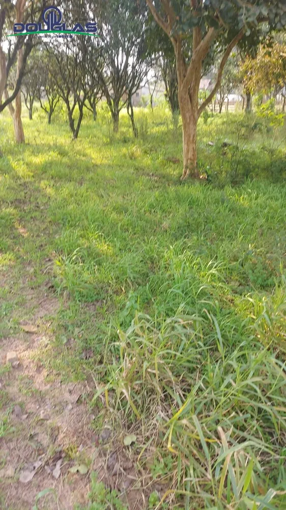 Terreno - Foto 5