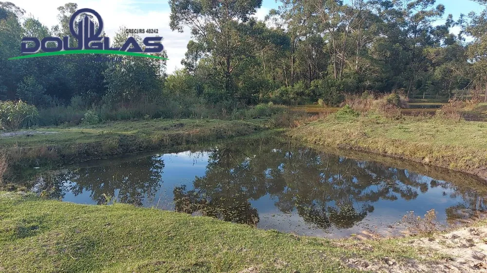Terreno, 3 hectares - Foto 1