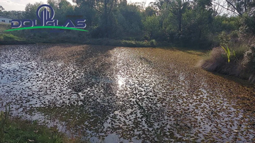 Terreno, 3 hectares - Foto 7