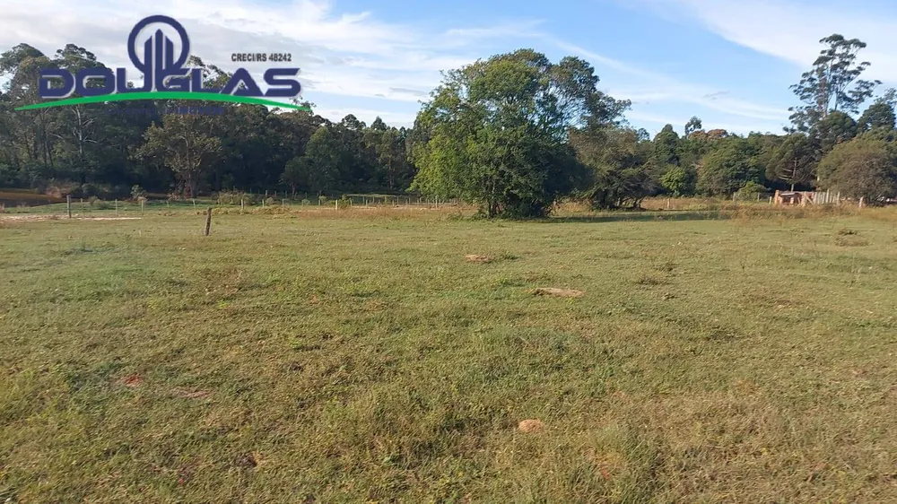 Terreno, 3 hectares - Foto 4