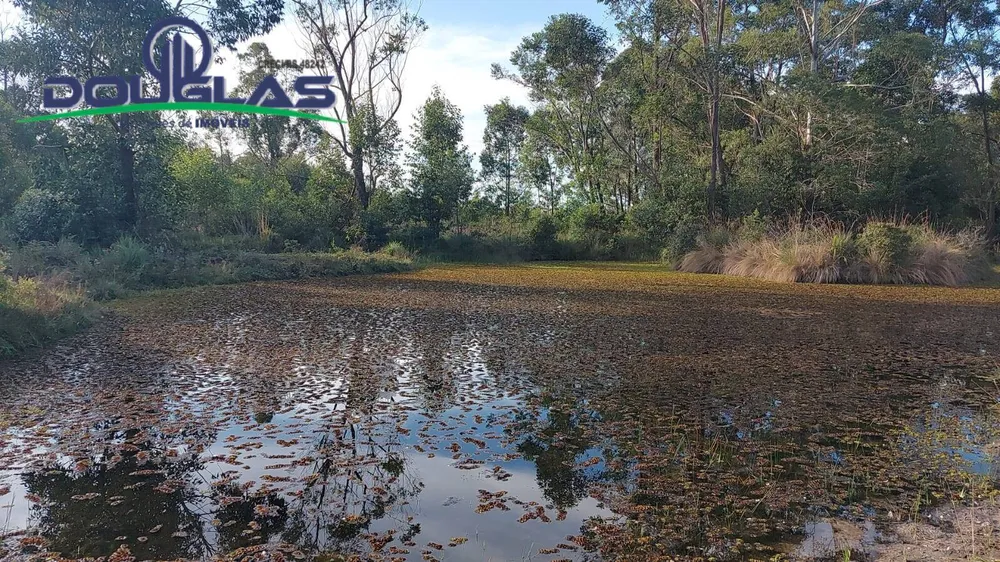 Terreno, 3 hectares - Foto 6