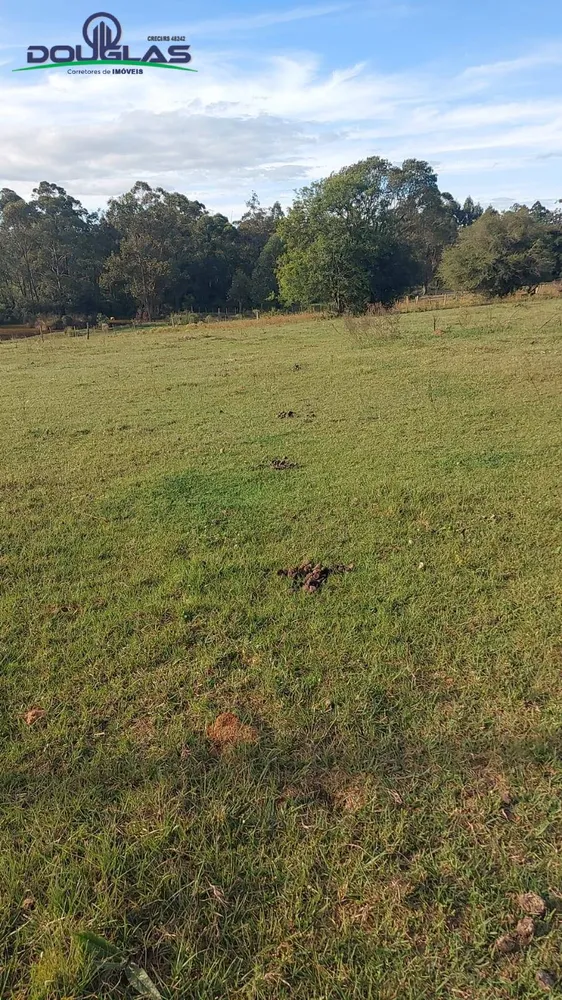 Terreno, 3 hectares - Foto 3