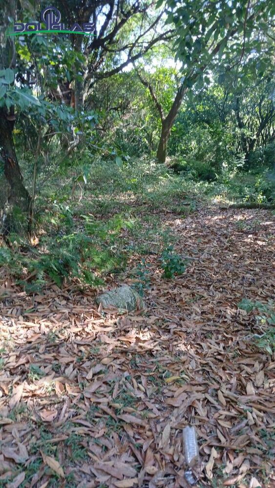 Terreno à venda - Foto 3