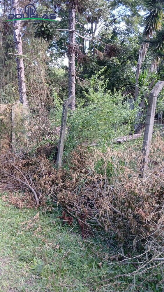 Terreno à venda - Foto 4