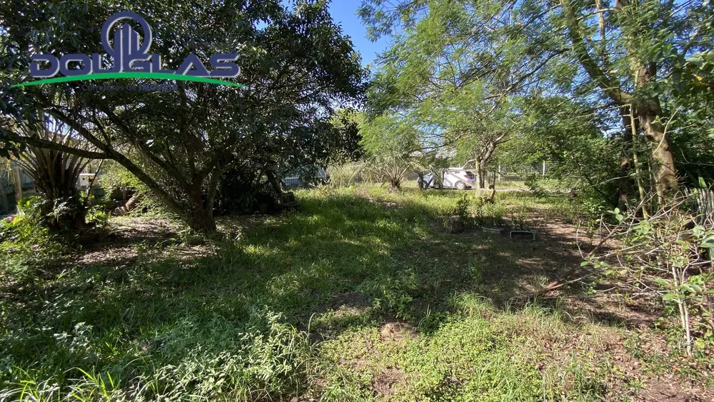Terreno, 600 m² - Foto 6