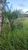Terreno, 2200 m² - Foto 2