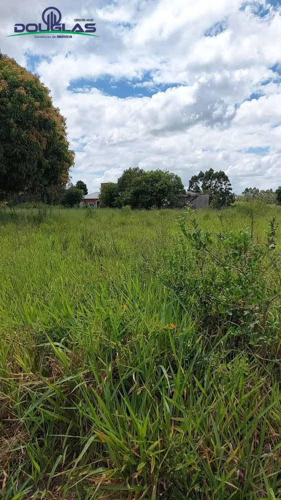 Terreno, 490 m² - Foto 5