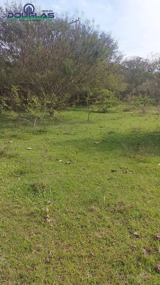 Terreno, 4 hectares - Foto 6