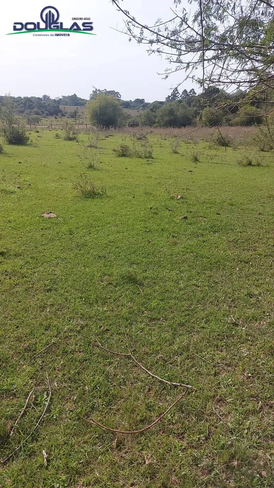 Terreno, 4 hectares - Foto 5