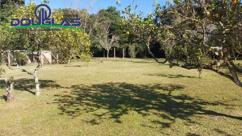 Casa, 4 quartos - Foto 6