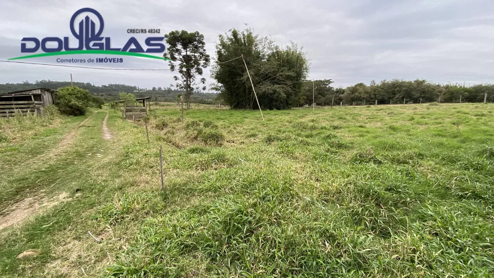 Terreno - Foto 2