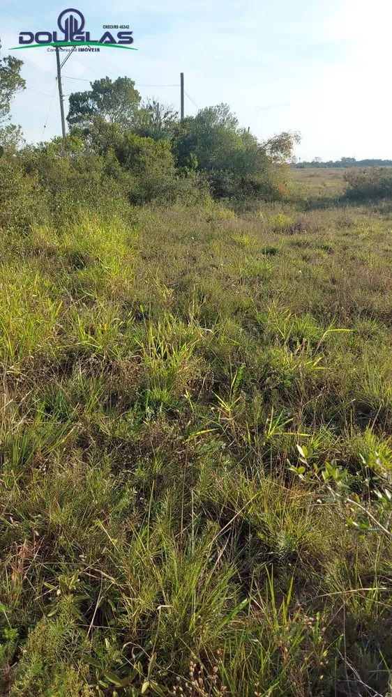 Terreno - Foto 3