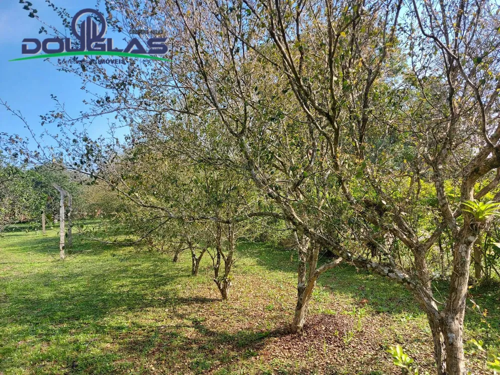 Terreno, 595 m² - Foto 4