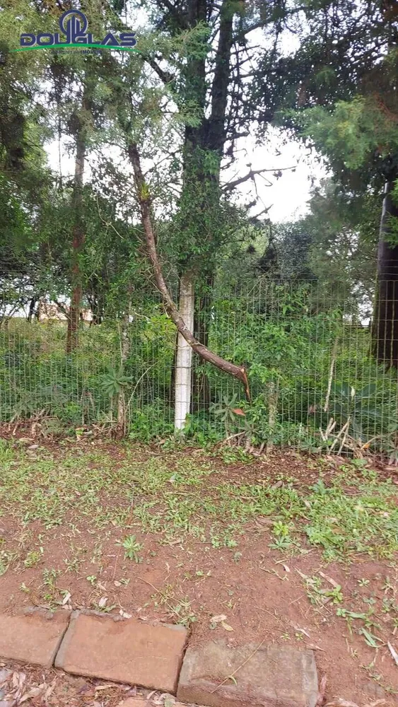 Terreno, 600 m² - Foto 7