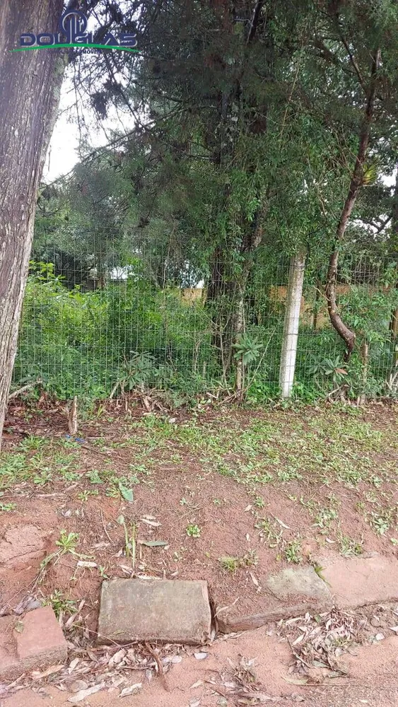 Terreno, 600 m² - Foto 6