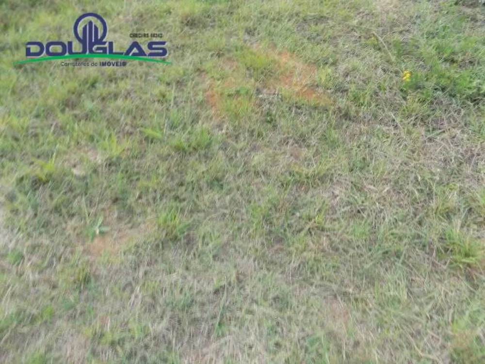 Terreno, 1000 m² - Foto 4
