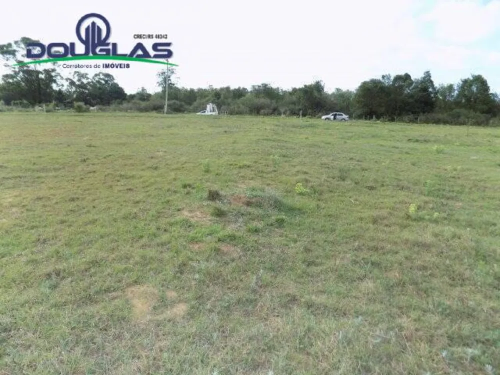 Terreno, 1000 m² - Foto 3