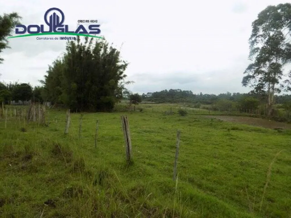 Sítio, 3 quartos, 2 hectares - Foto 8