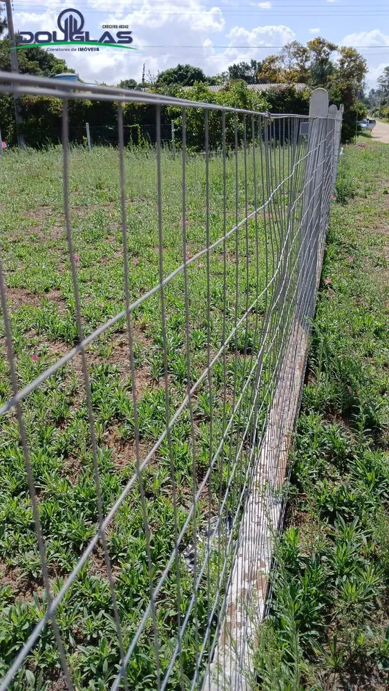 Terreno, 720 m² - Foto 6