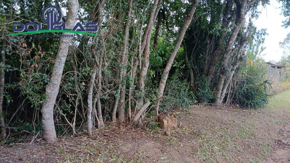 Terreno, 800 m² - Foto 1