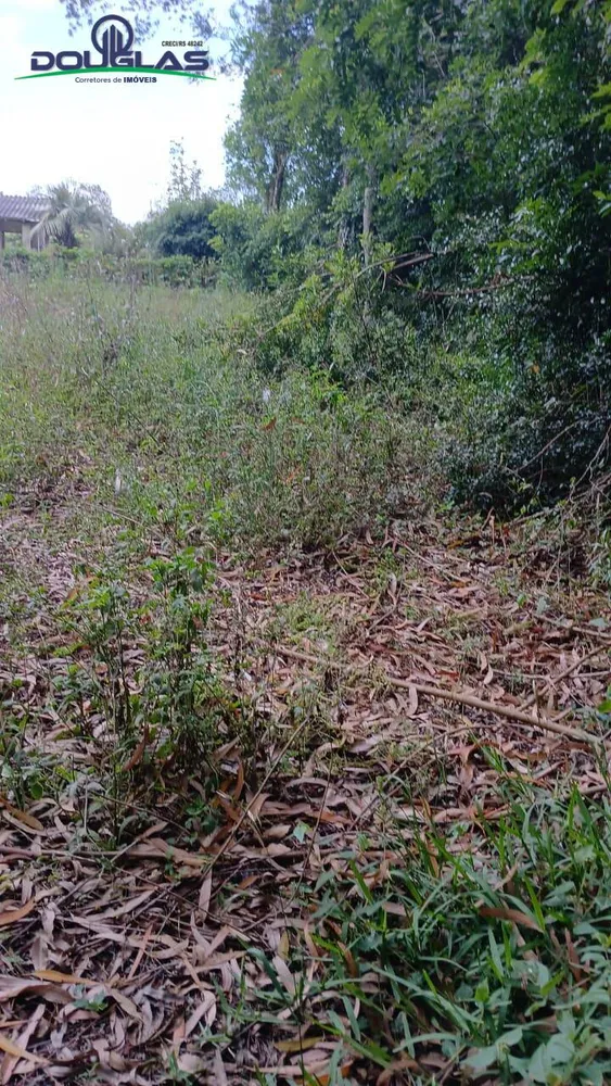 Terreno, 800 m² - Foto 7