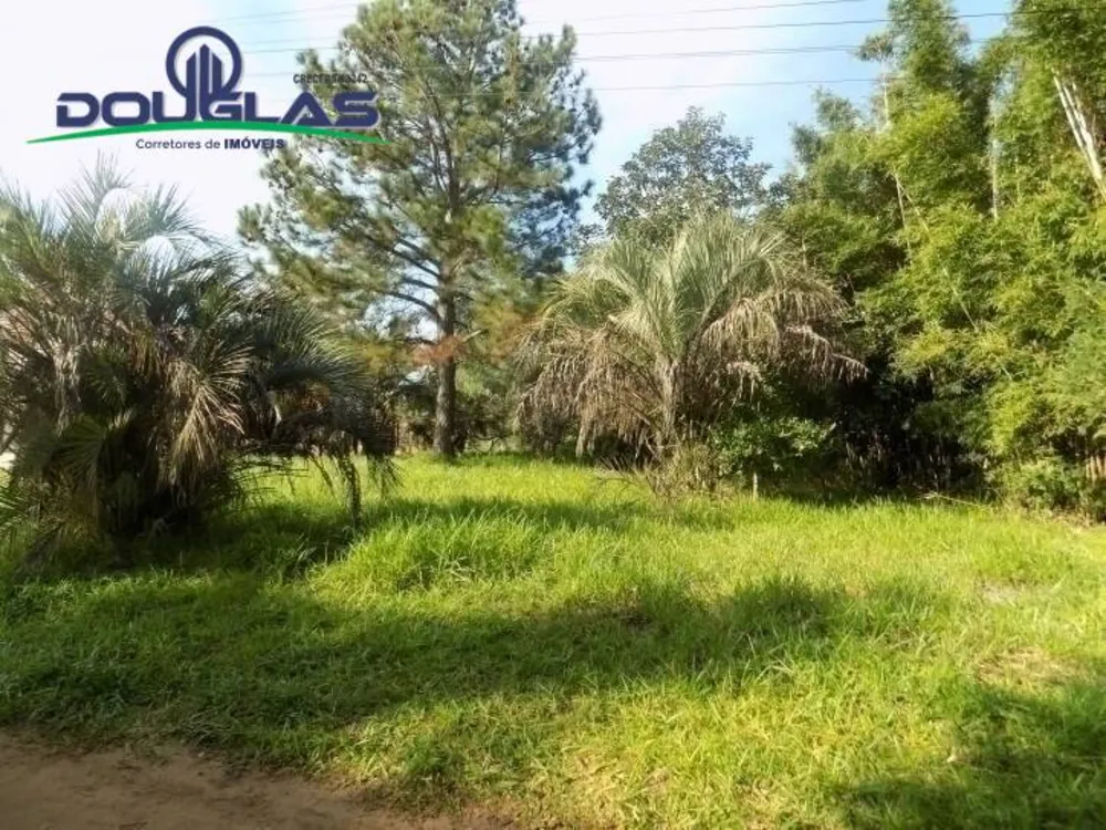 Terreno, 465 m² - Foto 5