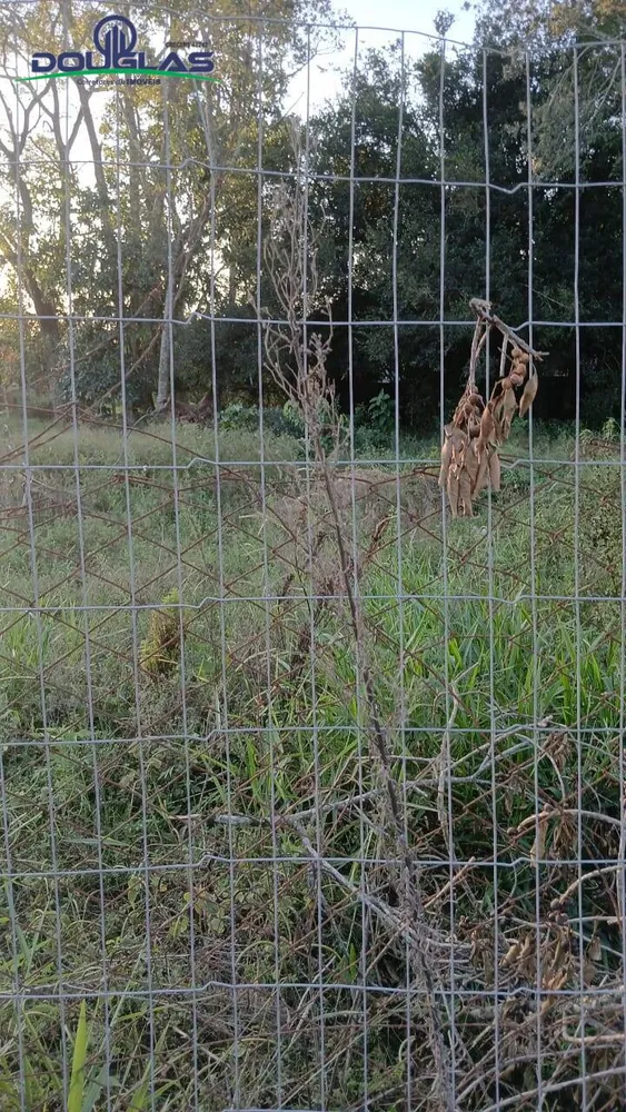 Terreno, 360 m² - Foto 1