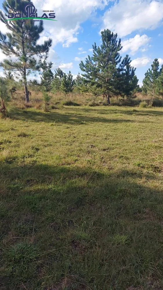 Prédio Inteiro - Foto 4
