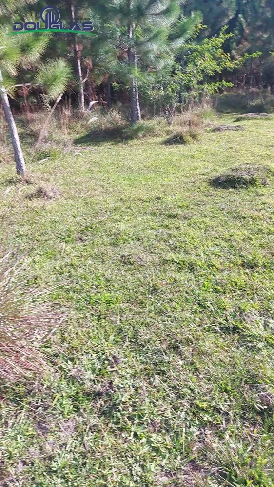 Prédio Inteiro - Foto 2