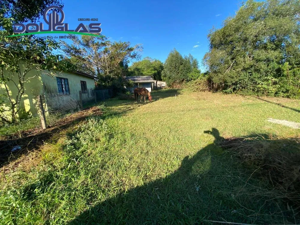 Terreno - Foto 5