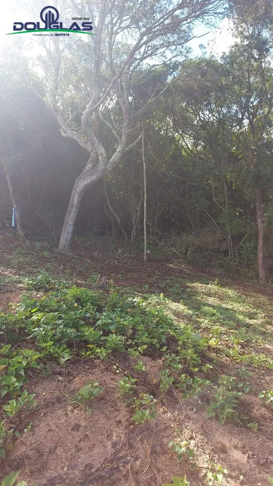 Chácara, 2 quartos, 20 hectares - Foto 7