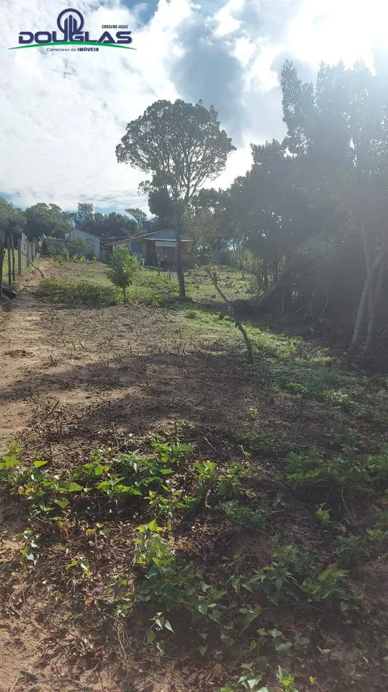 Chácara, 2 quartos, 20 hectares - Foto 6