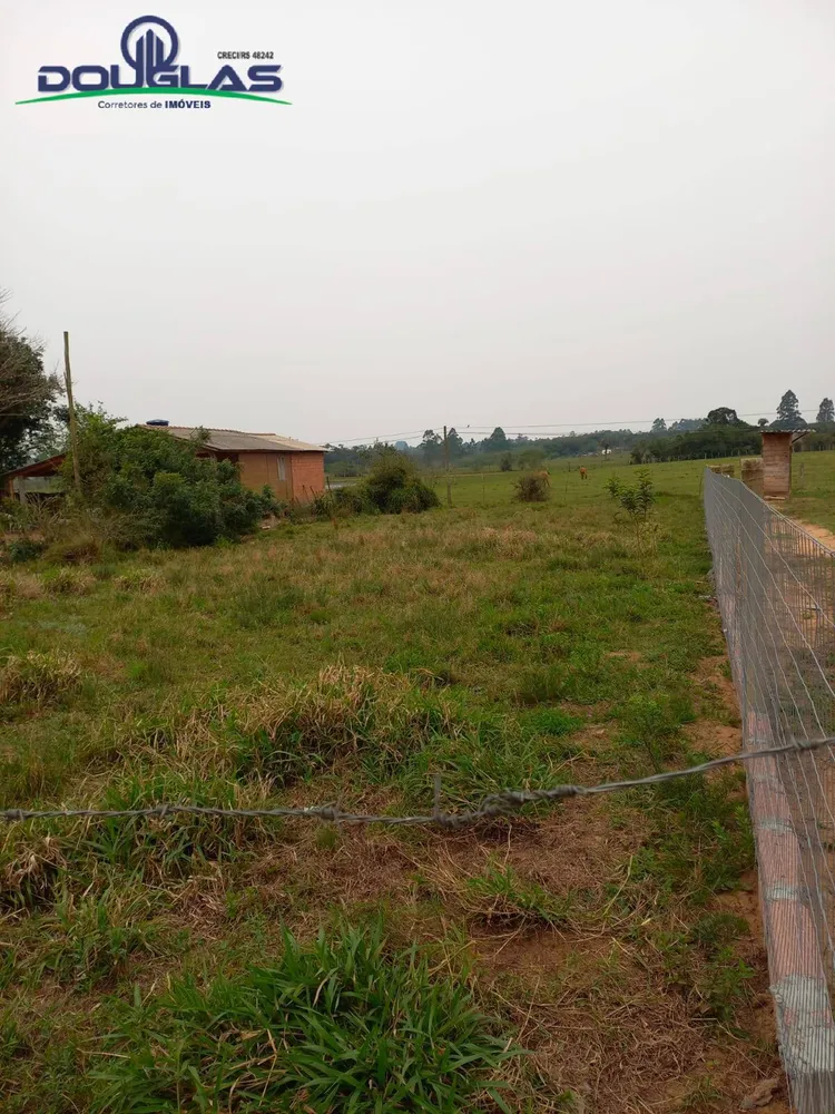 Terreno - Foto 4