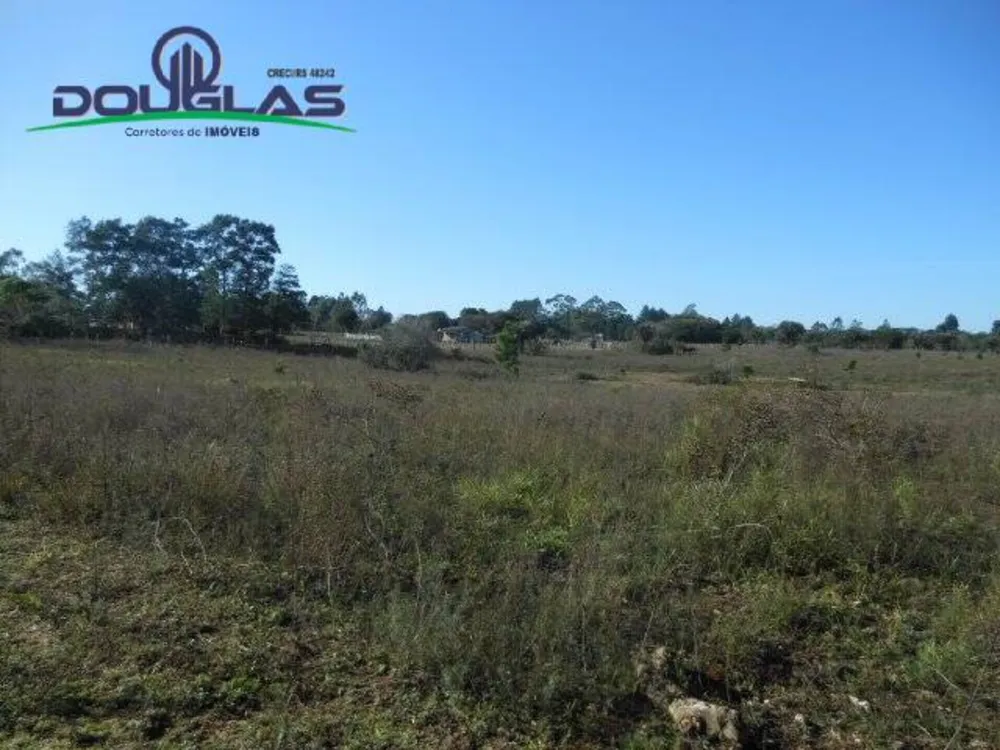 Terreno, 600 m² - Foto 6