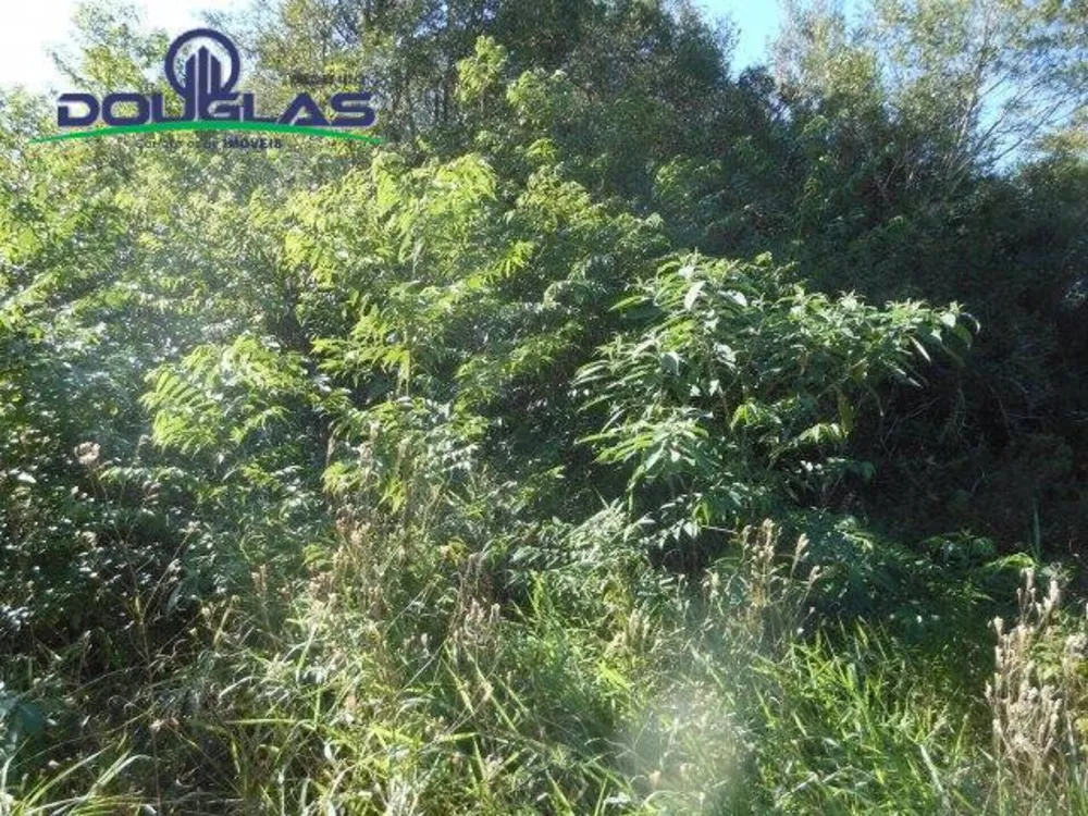 Terreno, 600 m² - Foto 3