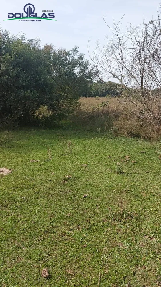 Terreno - Foto 3