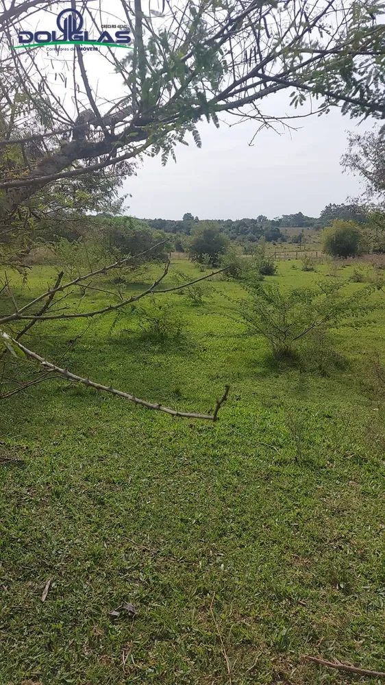 Terreno - Foto 4