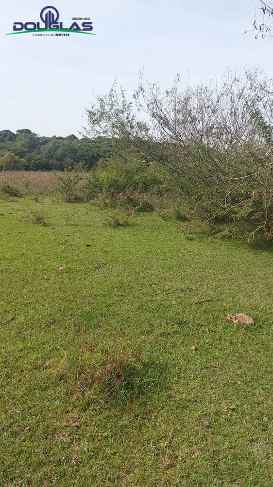 Terreno - Foto 6