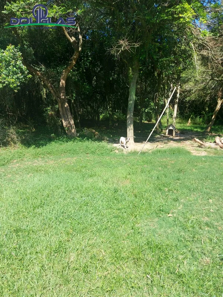 Terreno, 8000 m² - Foto 5