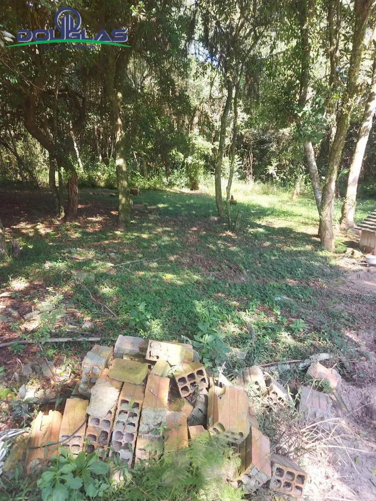 Terreno, 8000 m² - Foto 3