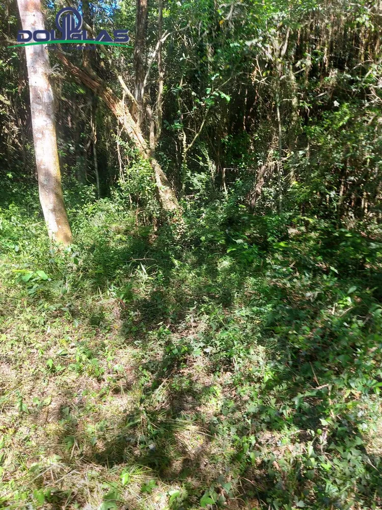 Terreno, 8000 m² - Foto 1