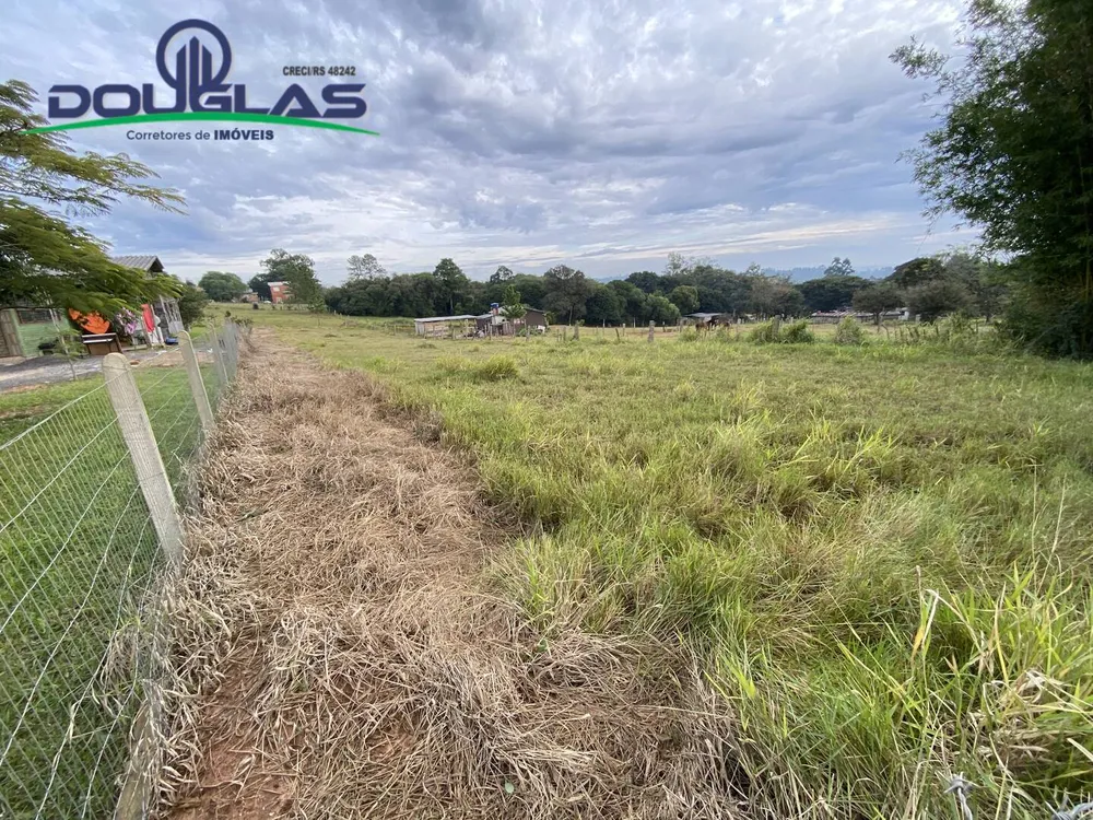 Terreno - Foto 4