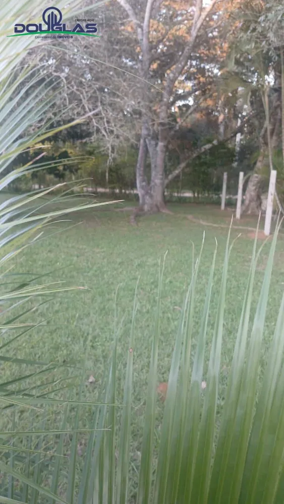 Terreno, 600 m² - Foto 4