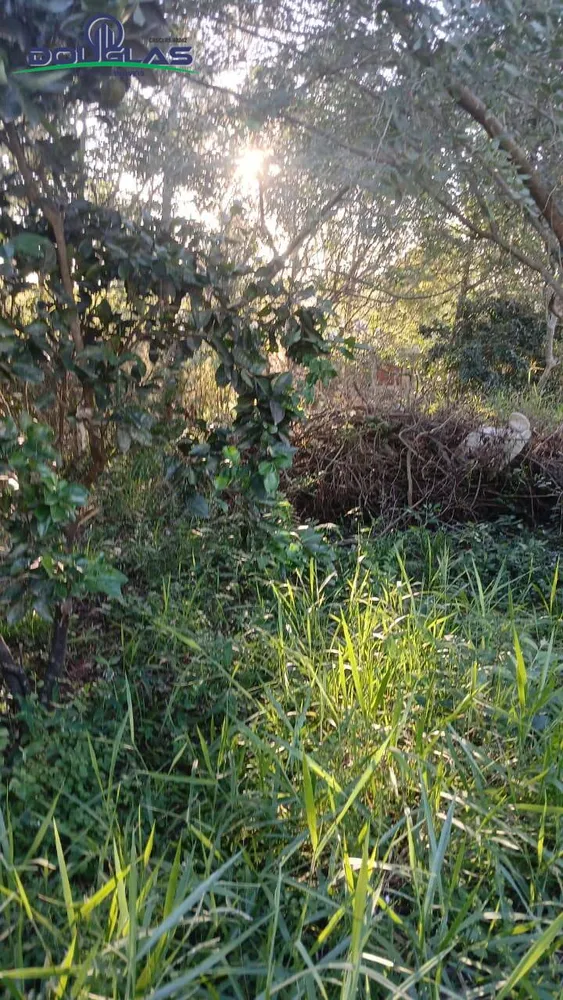 Terreno, 600 m² - Foto 4