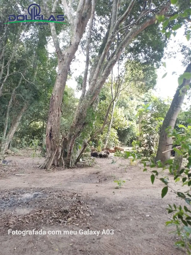 Chácara, 2 quartos, 1800 m² - Foto 1